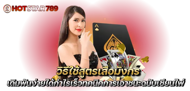 วิธีใช้สูตรเสือมังกร เดิมพันง่ายได้กำไรเร็วทคนิคการเอาชนะฉบับเซียนไพ่